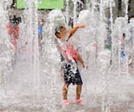 Süs Havuzu Ekipmanları