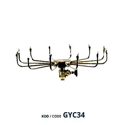 Pina Yıldız Fıskiye